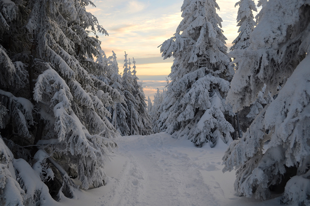 fotoprocházka zimní krajina fotím česko česká republika sněžka krkonoše